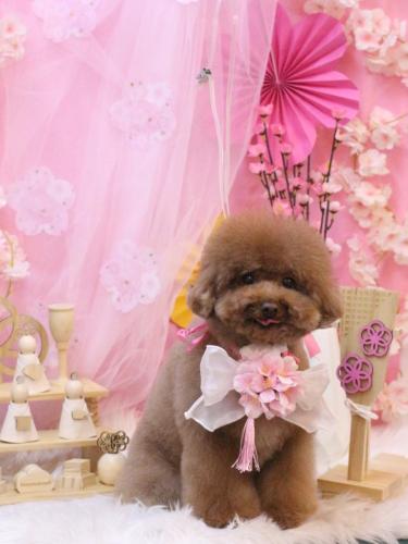 20250304てんくん